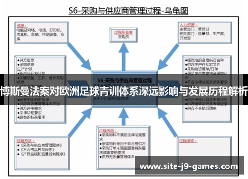 博斯曼法案对欧洲足球青训体系深远影响与发展历程解析