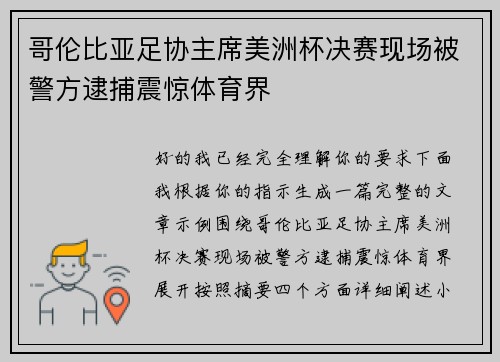 哥伦比亚足协主席美洲杯决赛现场被警方逮捕震惊体育界